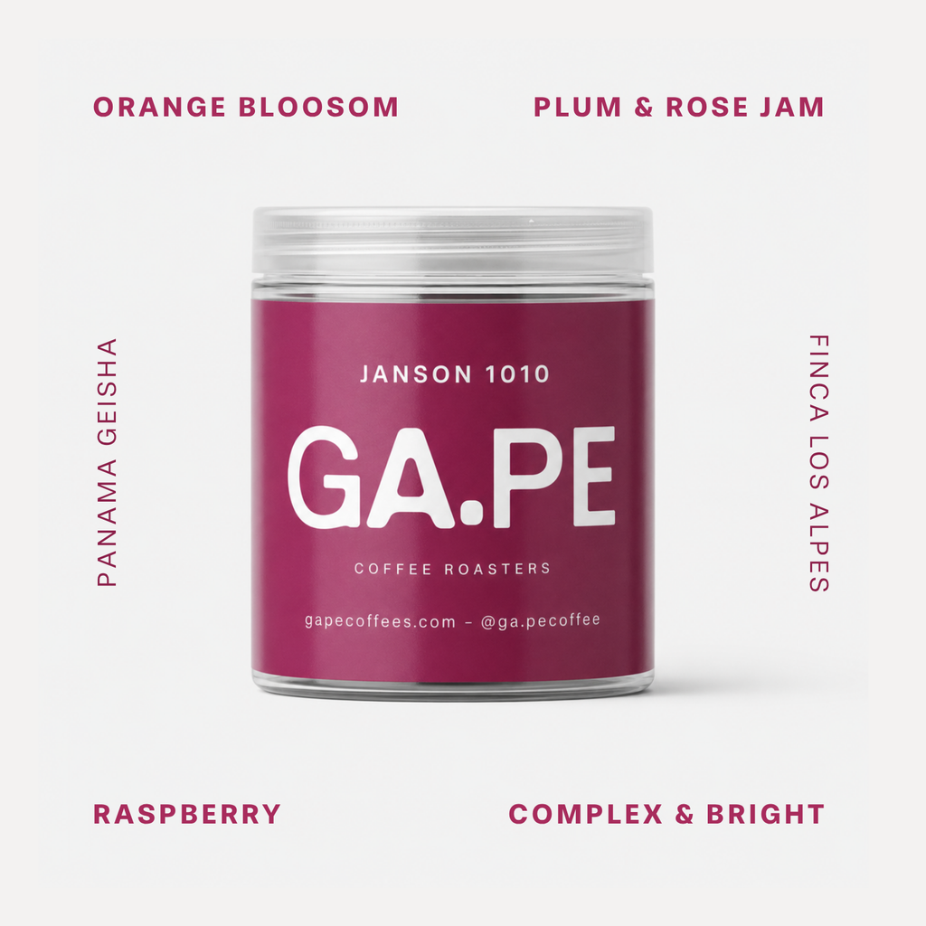 Janson 1010 [Gesha Natural] Panama