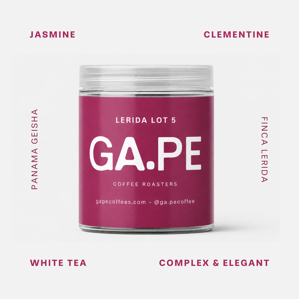 Lerida Lot 5 [Gesha Washed] Panama